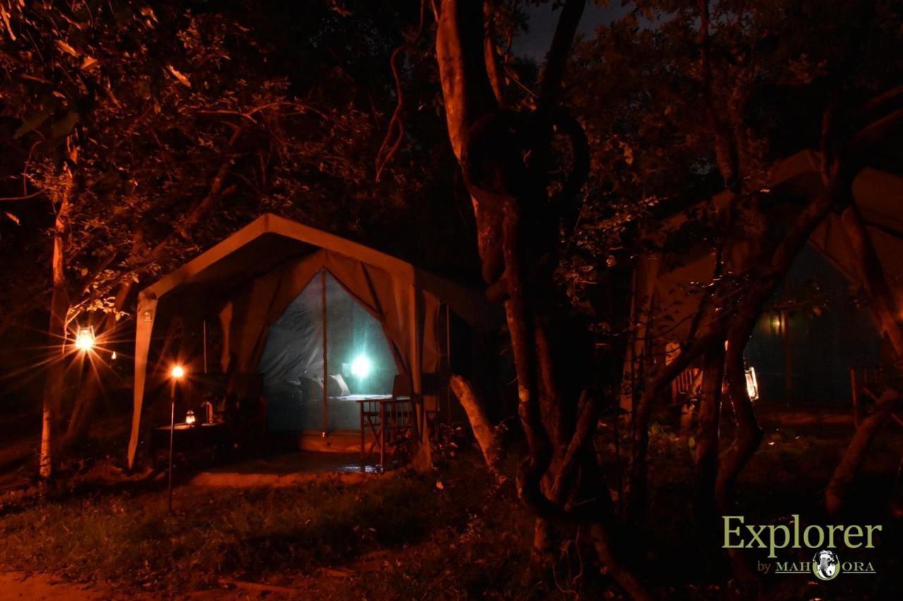 Explorer By Eco Team - Wasgamuwa National Park Buitenkant foto