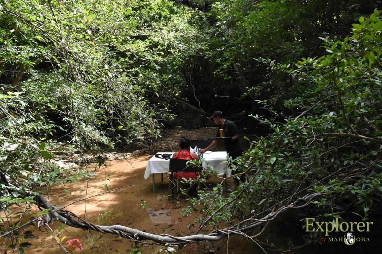 Explorer By Eco Team - Wasgamuwa National Park Buitenkant foto