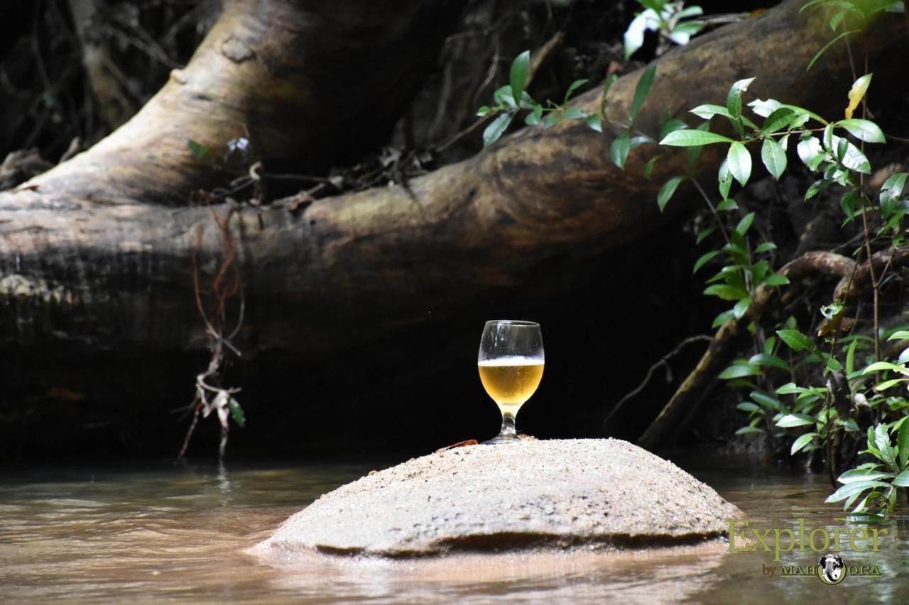 Explorer By Eco Team - Wasgamuwa National Park Buitenkant foto