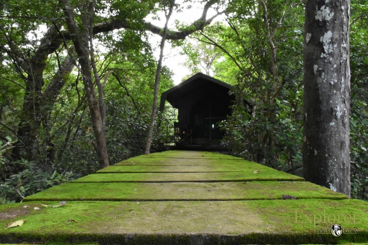 Explorer By Eco Team - Wasgamuwa National Park Buitenkant foto