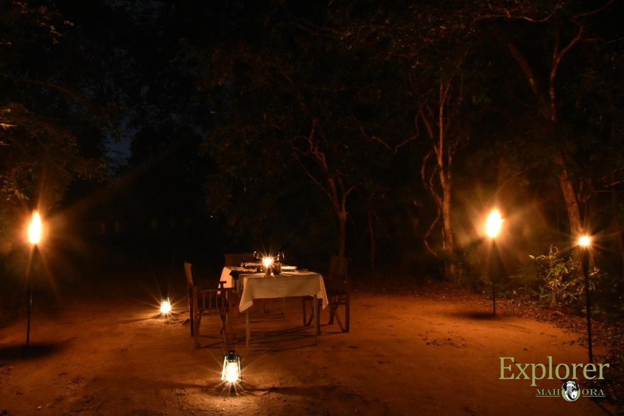 Explorer By Eco Team - Wasgamuwa National Park Buitenkant foto