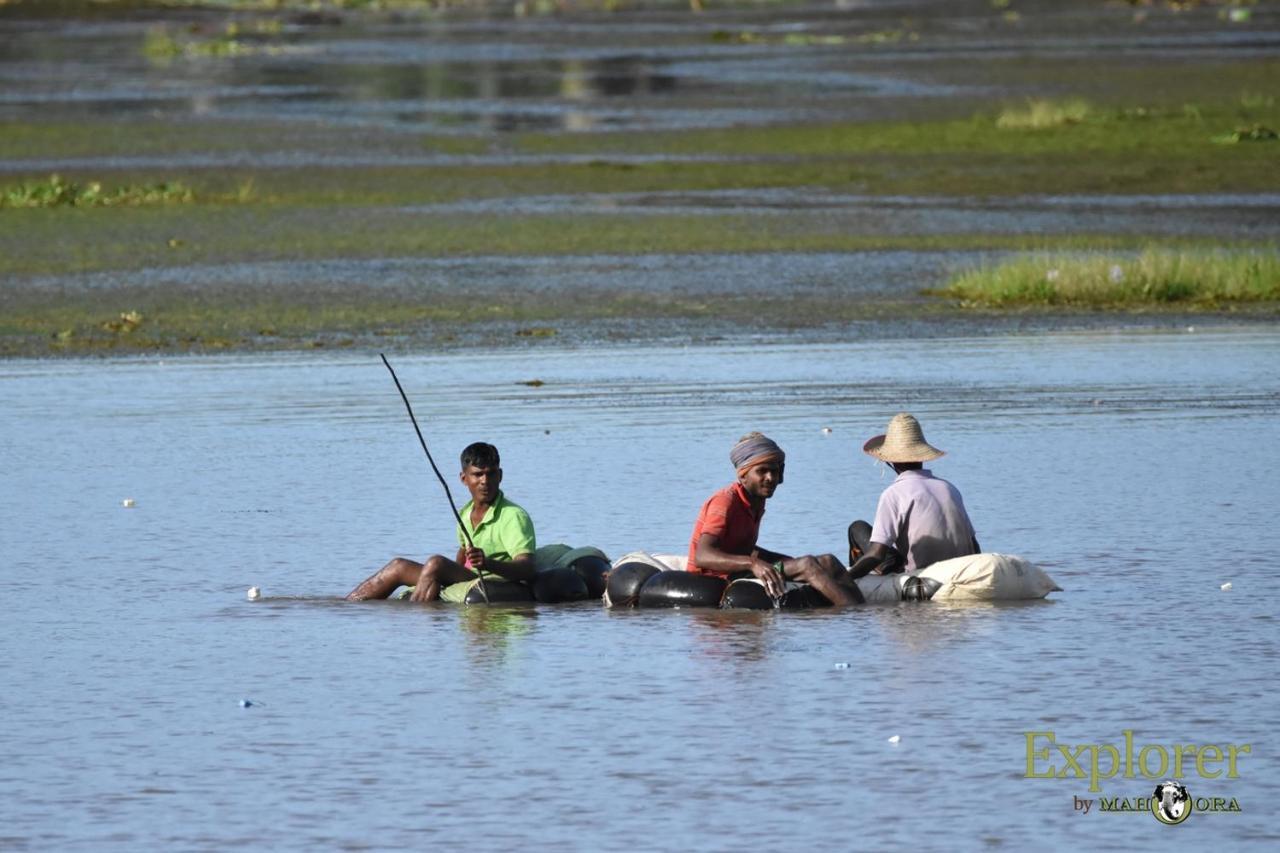 Explorer By Eco Team - Wasgamuwa National Park Buitenkant foto