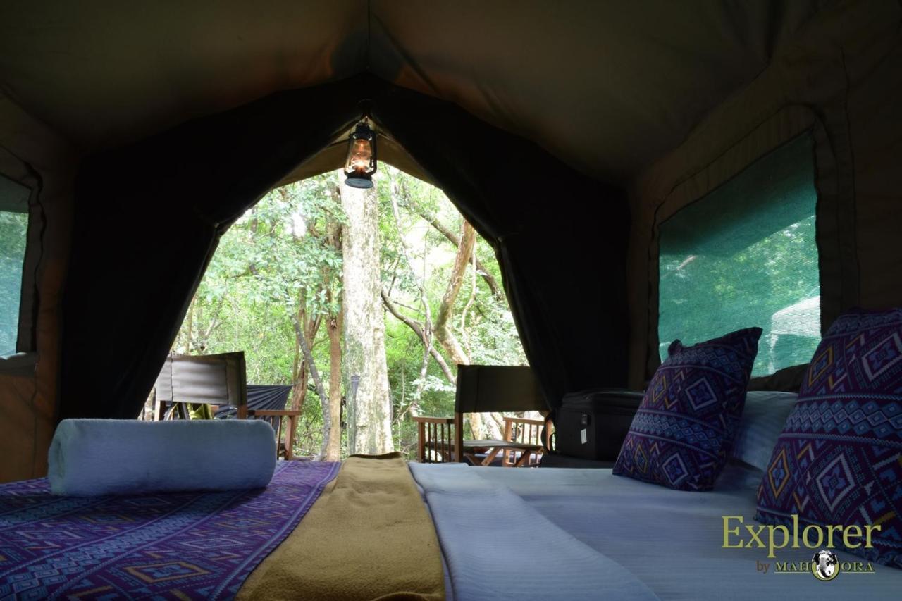 Explorer By Eco Team - Wasgamuwa National Park Buitenkant foto