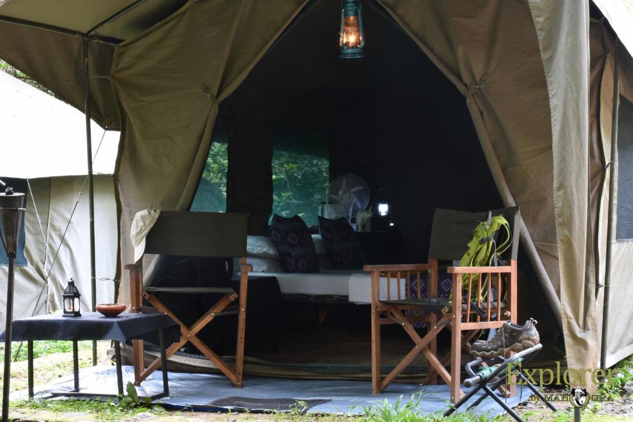 Explorer By Eco Team - Wasgamuwa National Park Buitenkant foto