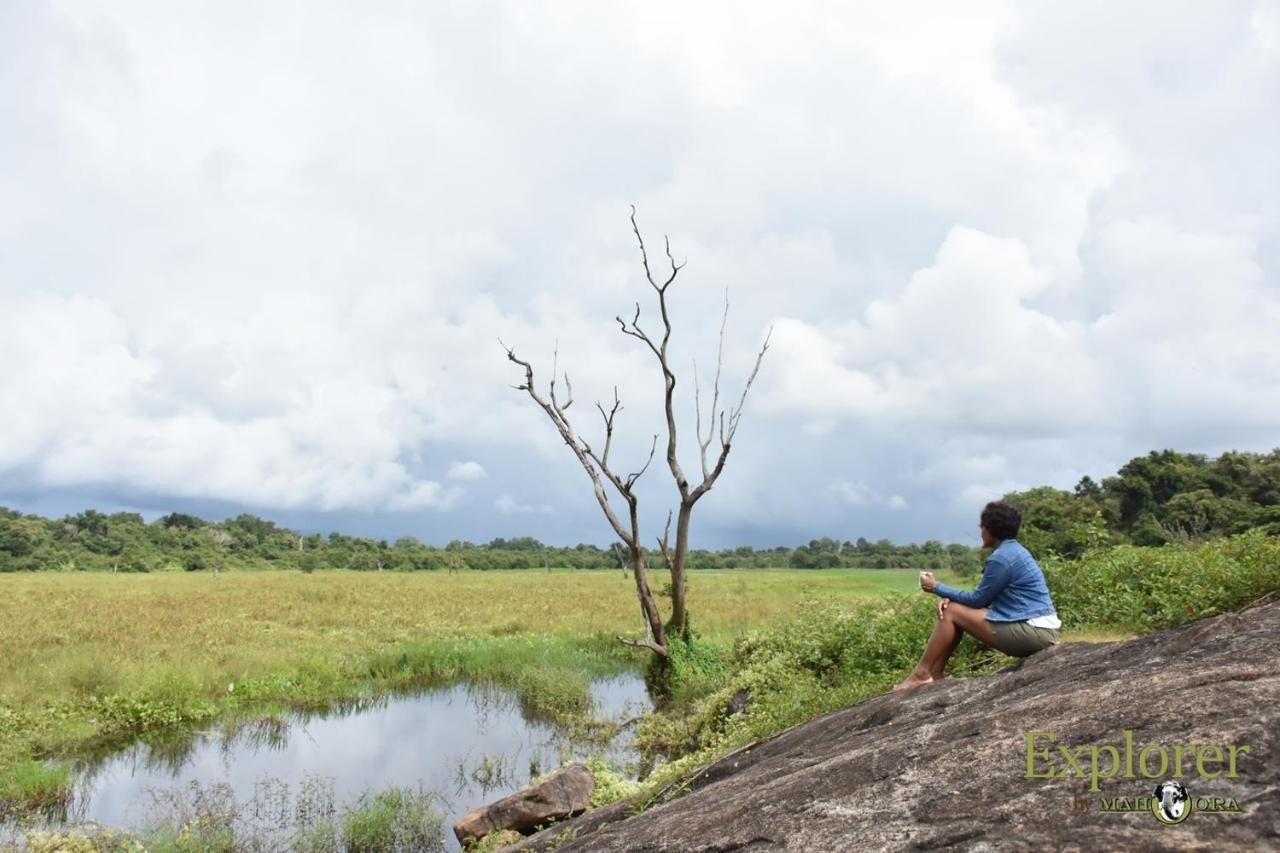 Explorer By Eco Team - Wasgamuwa National Park Buitenkant foto