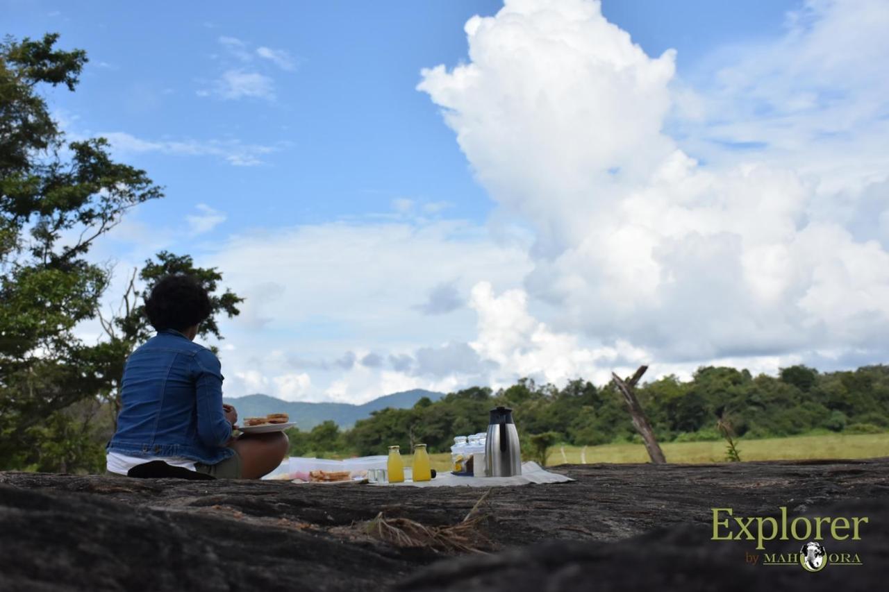 Explorer By Eco Team - Wasgamuwa National Park Buitenkant foto