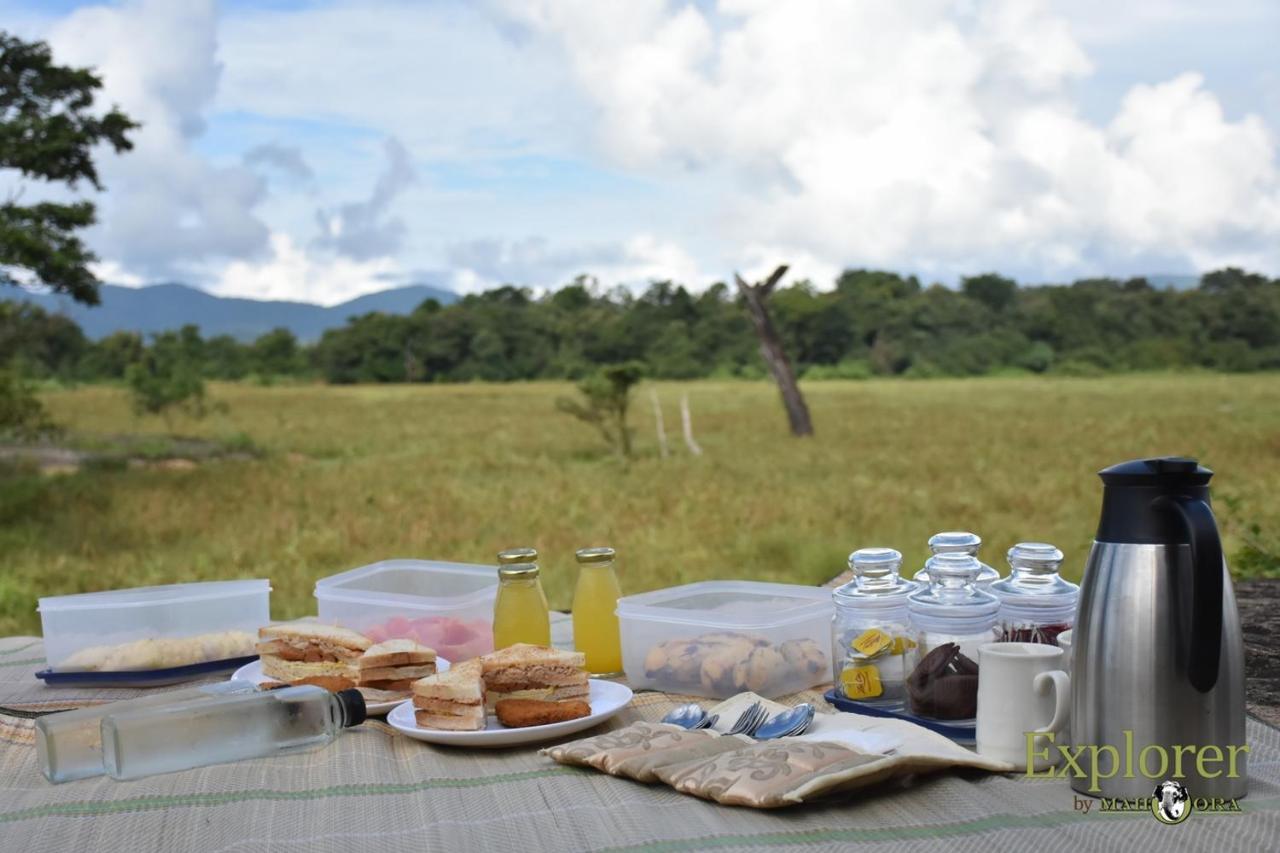 Explorer By Eco Team - Wasgamuwa National Park Buitenkant foto
